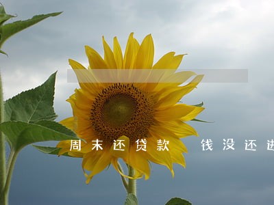 周末还贷款 钱没还进去会逾期吗 周末还贷款 钱没还进去会逾期吗